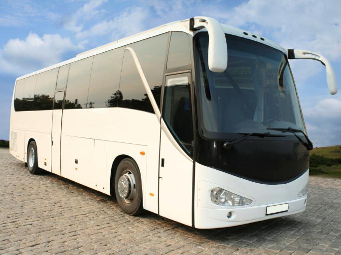 White Charter Bus Rental